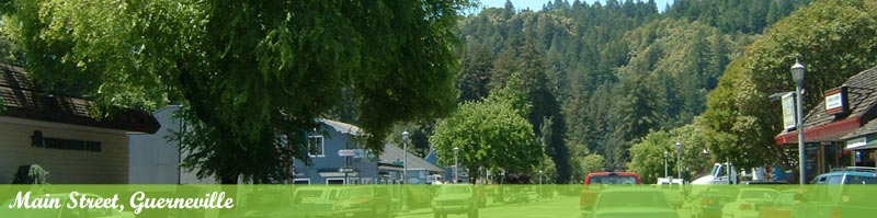 Land of Redwoods, Coast, & Wine